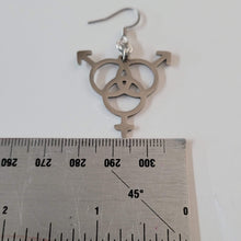 Load image into Gallery viewer, Bisexual Earrings, Dangle Drop Earrings, Stainless Steel Charms, Bi Bisexuality LGBTQIA Gifts