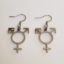 Load image into Gallery viewer, Transgender Earrings, Non Binary Trans Awareness Drop Dangle Earrings