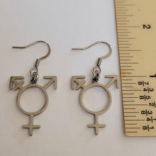Load image into Gallery viewer, Transgender Earrings, Non Binary Trans Awareness Drop Dangle Earrings