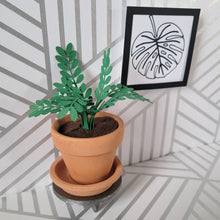 Load image into Gallery viewer, Miniature ZZ Paper Plant, 2 inch Terracotta Pot with Saucer