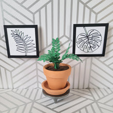 Load image into Gallery viewer, Miniature ZZ Paper Plant, 2 inch Terracotta Pot with Saucer