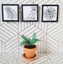 Load image into Gallery viewer, Miniature ZZ Paper Plant, 2 inch Terracotta Pot with Saucer
