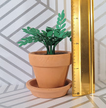 Load image into Gallery viewer, Miniature ZZ Paper Plant, 2 inch Terracotta Pot with Saucer