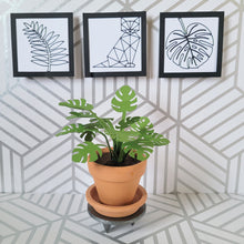 Load image into Gallery viewer, Monstera Paper Plant, 2 inch Terracotta Pot with Saucer