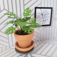 Load image into Gallery viewer, Monstera Paper Plant, 2 inch Terracotta Pot with Saucer