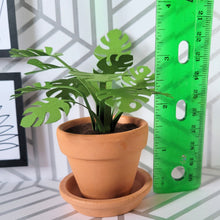Load image into Gallery viewer, Monstera Paper Plant, 2 inch Terracotta Pot with Saucer