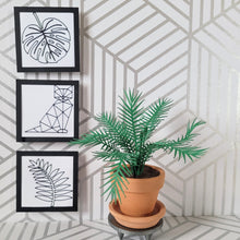 Load image into Gallery viewer, Palm Tree Paper Plant, 2 inch Terracotta Pot with Saucer