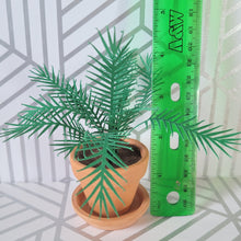 Load image into Gallery viewer, Palm Tree Paper Plant, 2 inch Terracotta Pot with Saucer