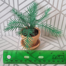 Load image into Gallery viewer, Palm Tree Paper Plant, 2 inch Terracotta Pot with Saucer