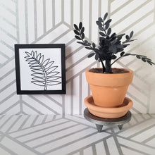 Load image into Gallery viewer, Raven ZZ Paper Plant, 2 inch Terracotta Pot with Saucer