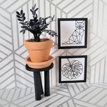 Load image into Gallery viewer, Raven ZZ Paper Plant, 2 inch Terracotta Pot with Saucer