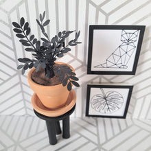 Load image into Gallery viewer, Raven ZZ Paper Plant, 2 inch Terracotta Pot with Saucer