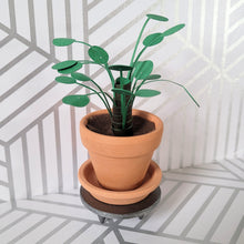 Load image into Gallery viewer, Pilea Peperomioides Paper Plant, 2 inch Terracotta Pot with Saucer