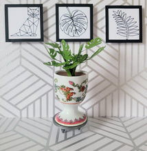 Load image into Gallery viewer, Monstera Paper Plant, 3 Inch Miniature Vintage Egg Cup Planter