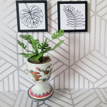 Load image into Gallery viewer, Monstera Paper Plant, 3 Inch Miniature Vintage Egg Cup Planter