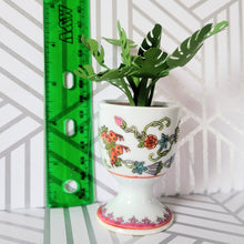Load image into Gallery viewer, Monstera Paper Plant, 3 Inch Miniature Vintage Egg Cup Planter