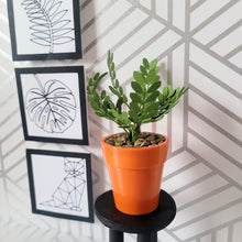 Load image into Gallery viewer, ZZ Plant, 3 inch Miniature Paper Plant, Dollhouse Zen Garden Mini