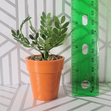 Load image into Gallery viewer, ZZ Plant, 3 inch Miniature Paper Plant, Dollhouse Zen Garden Mini
