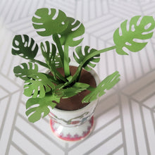 Load image into Gallery viewer, Monstera Paper Plant, 3 Inch Miniature Vintage Egg Cup Planter