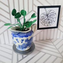 Load image into Gallery viewer, Miniature Pilea Peperomioides Paper Plant, 2 inch Japanese Pitcher