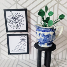 Load image into Gallery viewer, Miniature Pilea Peperomioides Paper Plant, 2 inch Japanese Pitcher