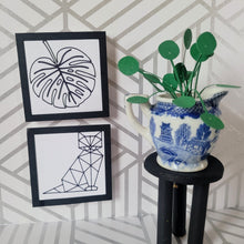 Load image into Gallery viewer, Miniature Pilea Peperomioides Paper Plant, 2 inch Japanese Pitcher