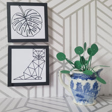 Load image into Gallery viewer, Miniature Pilea Peperomioides Paper Plant, 2 inch Japanese Pitcher