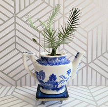 Load image into Gallery viewer, Palm Tree Paper Plant, 5 inch Miniature in Japanese Pitcher