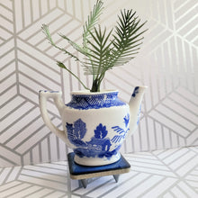 Load image into Gallery viewer, Palm Tree Paper Plant, 5 inch Miniature in Japanese Pitcher