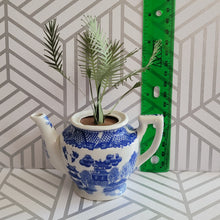 Load image into Gallery viewer, Palm Tree Paper Plant, 5 inch Miniature in Japanese Pitcher