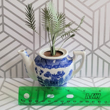 Load image into Gallery viewer, Palm Tree Paper Plant, 5 inch Miniature in Japanese Pitcher