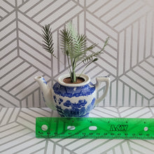 Load image into Gallery viewer, Palm Tree Paper Plant, 5 inch Miniature in Japanese Pitcher