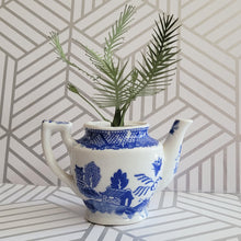 Load image into Gallery viewer, Palm Tree Paper Plant, 5 inch Miniature in Japanese Pitcher