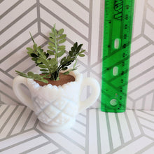 Load image into Gallery viewer, ZZ Plant, 3 inch Miniature Paper Plant in Vintage Milk Glass Planter