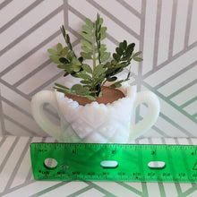 Load image into Gallery viewer, ZZ Plant, 3 inch Miniature Paper Plant in Vintage Milk Glass Planter