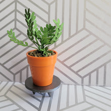 Load image into Gallery viewer, ZZ Plant, 3 inch Miniature Paper Plant, Dollhouse Zen Garden Mini