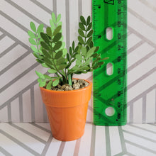 Load image into Gallery viewer, ZZ Plant, 3 inch Miniature Paper Plant, Dollhouse Zen Garden Mini
