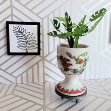 Load image into Gallery viewer, Monstera Paper Plant, 3 Inch Miniature Vintage Egg Cup Planter