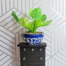 Load image into Gallery viewer, Monstera Paper Plant, 2 inch Japanese Miniature Tea Cup