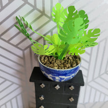 Load image into Gallery viewer, Monstera Paper Plant, 2 inch Japanese Miniature Tea Cup