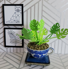 Load image into Gallery viewer, Monstera Paper Plant, 2 inch Japanese Miniature Tea Cup
