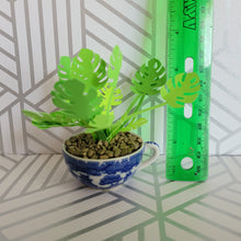 Load image into Gallery viewer, Monstera Paper Plant, 2 inch Japanese Miniature Tea Cup