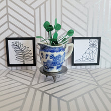 Load image into Gallery viewer, Miniature Pilea Peperomioides Paper Plant, 2 inch Japanese Pitcher