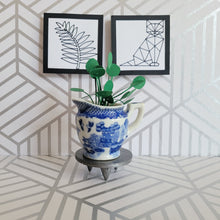 Load image into Gallery viewer, Miniature Pilea Peperomioides Paper Plant, 2 inch Japanese Pitcher