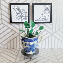 Load image into Gallery viewer, Miniature Pilea Peperomioides Paper Plant, 2 inch Japanese Pitcher