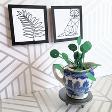 Load image into Gallery viewer, Miniature Pilea Peperomioides Paper Plant, 2 inch Japanese Pitcher