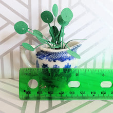 Load image into Gallery viewer, Miniature Pilea Peperomioides Paper Plant, 2 inch Japanese Pitcher