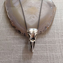 Load image into Gallery viewer, Bird Skull Necklace, Raven Crow Gothic Victorian Halloween Jewelry