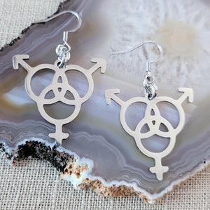 Bisexual Earrings, Dangle Drop Earrings, Stainless Steel Charms, Bi Bisexuality LGBTQIA Gifts