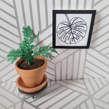 Load image into Gallery viewer, Miniature ZZ Paper Plant, 2 inch Terracotta Pot with Saucer

